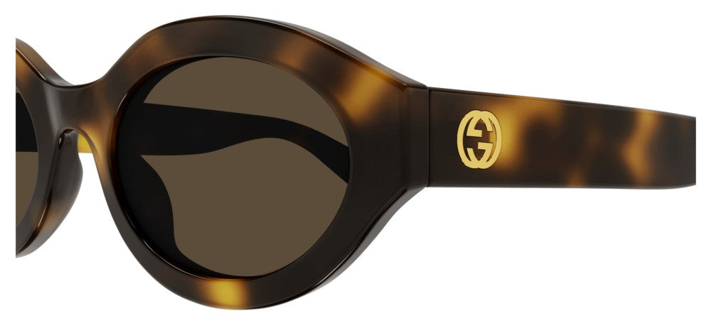 Gucci GG1579S 002 53mm Sunglasses Havana / Brown Solid Lens - image 3