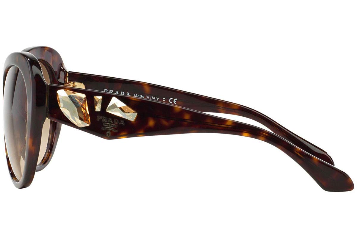 Prada Sunglasses PR26QS 2AU3D0 56mm Havana Brown / Brown Gradient Lens