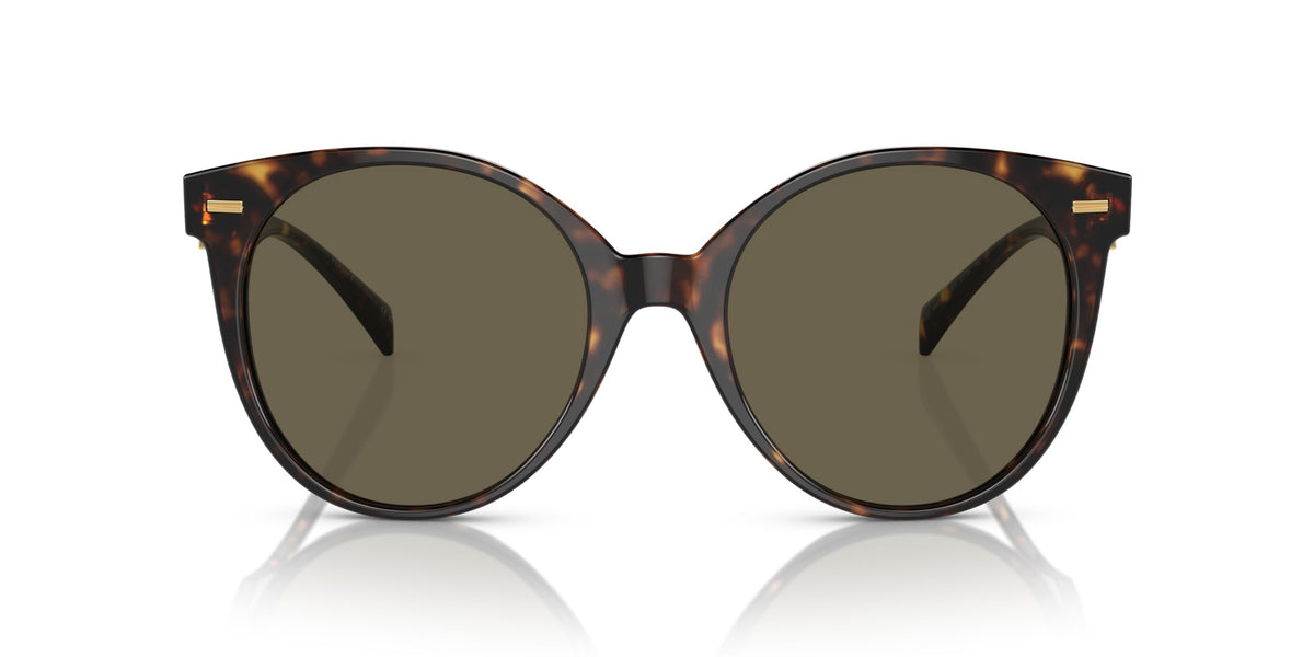 Versace Sunglasses VE4442F 108-3 55mm Havana / Brown Lens