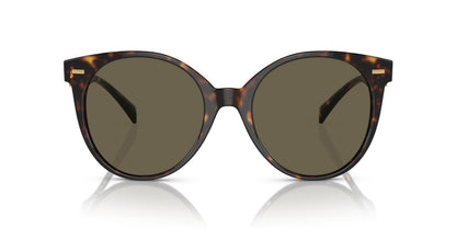 Versace Sunglasses VE4442F 108-3 55mm Havana / Brown Lens