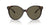 Versace Sunglasses VE4442F 108-3 55mm Havana / Brown Lens