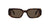 Prada Sunglasses PR17WS 2AU8C1 49mm Tortoise / Brown Lens