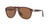 Persol Sunglasses PO0649 1091AN 54mm Brown Prince Of Wales / Polar Brown Lens