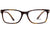 Prada Eyeglasses PR14WV ZXH1O1 54mm Moro Turquoise tortoise / Demo Lens