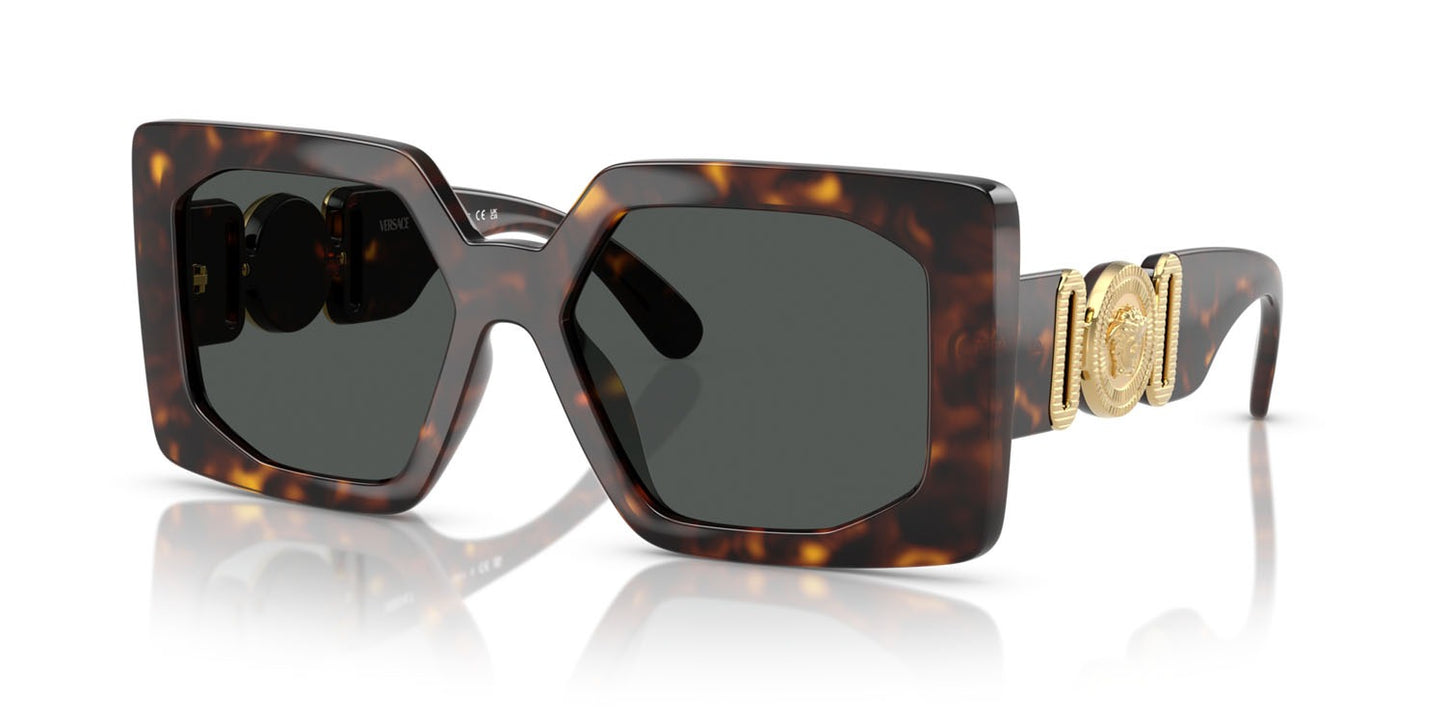 Versace Sunglasses VE4478U 108/87 55mm Havana / Dark Grey Lens