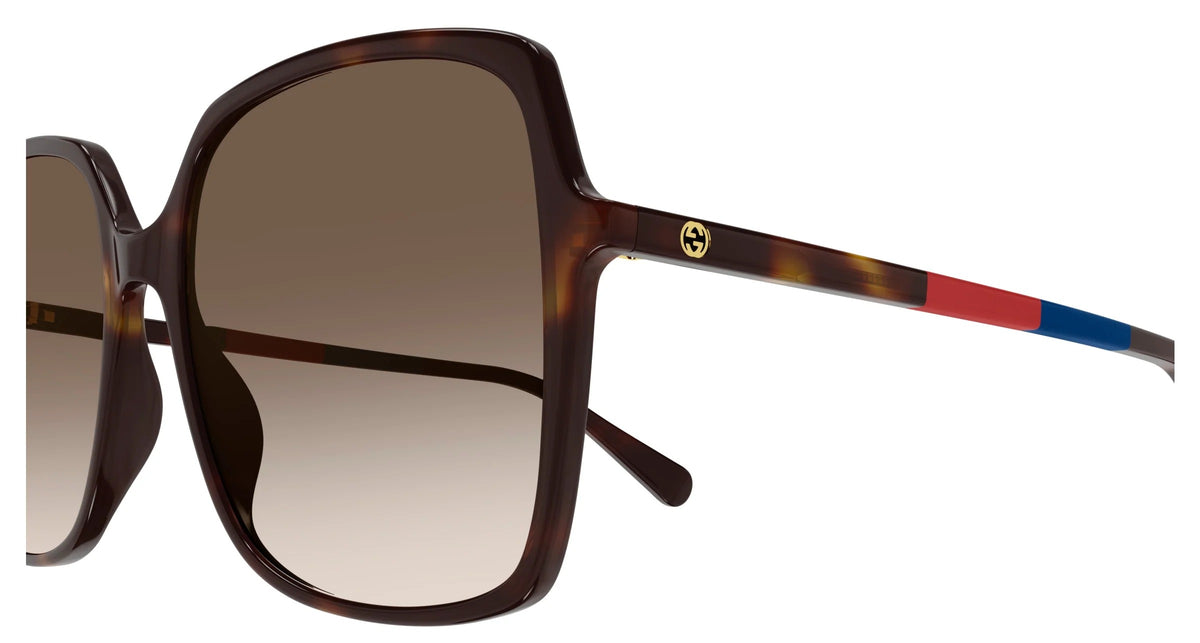 Gucci Sunglasses GG0544S 008 57mm Havana / Brown Gradient Lens