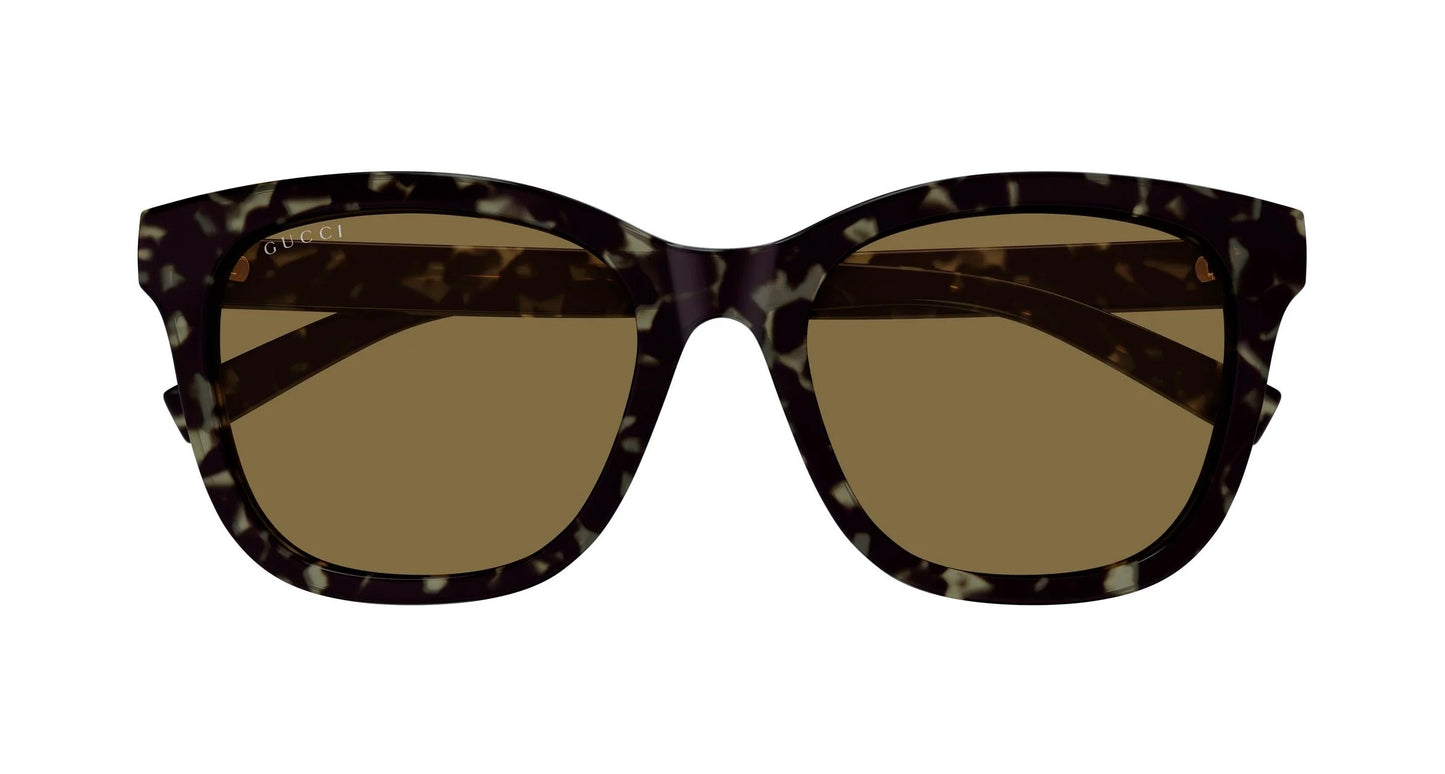 Gucci GG1984SK 003 Square Sunglasses 55mm Havana / Brown Solid Lens