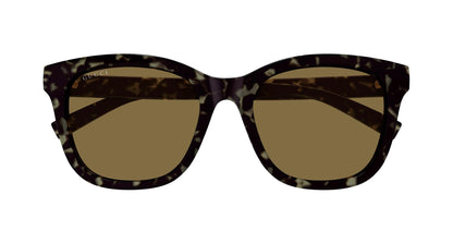 Gucci GG1984SK 003 Square Sunglasses 55mm Havana / Brown Solid Lens