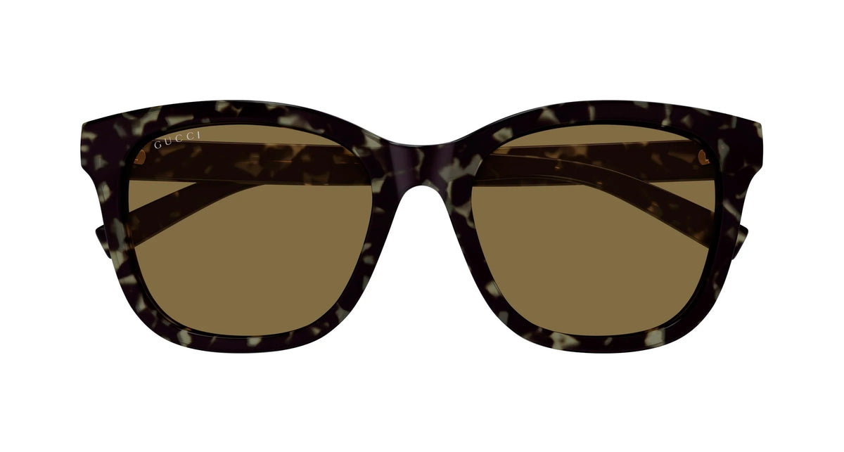 Gucci GG1984SK 003 Square Sunglasses 55mm Havana / Brown Solid Lens