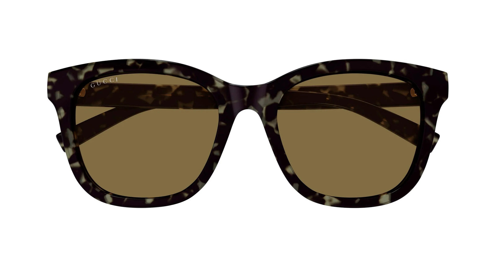 Gucci GG1984SK 003 Square Sunglasses 55mm Havana / Brown Solid Lens