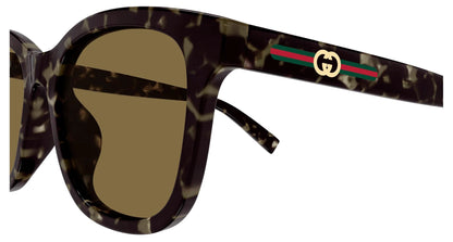Gucci GG1984SK 003 Square Sunglasses 55mm Havana / Brown Solid Lens