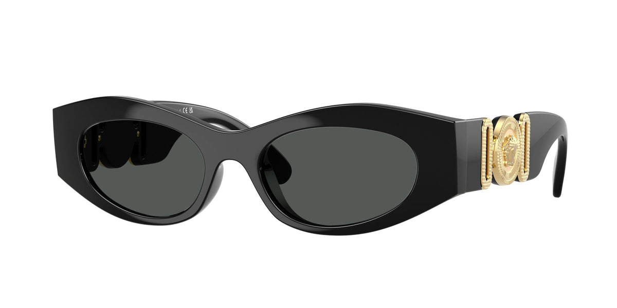 Versace Sunglasses VE4480U GB1-87 51mm Black / Dark Grey Lens