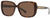 Versace VE4357 108/73 56mm Sunglasses Havana / Brown Lens [56-16-140]
