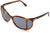 Persol Sunglasses PO0005 9656 54mm Terra Di Siena / Light Blue Lens