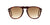 Persol PO 0649 24/51 54mm Havana / Brown Gradient Sunglasses