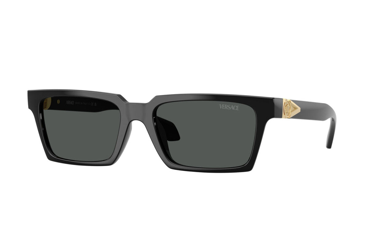 Versace Sunglasses VE4490U GB187 55mm Black / Dark Grey Lens