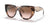 Prada Sunglasses PR14WS 01R0A6 52mm Caramel Tortoise Powder / Brown Gradient