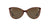 Versace Sunglasses VE4260 5077/73 Amber Havana / Brown Lens