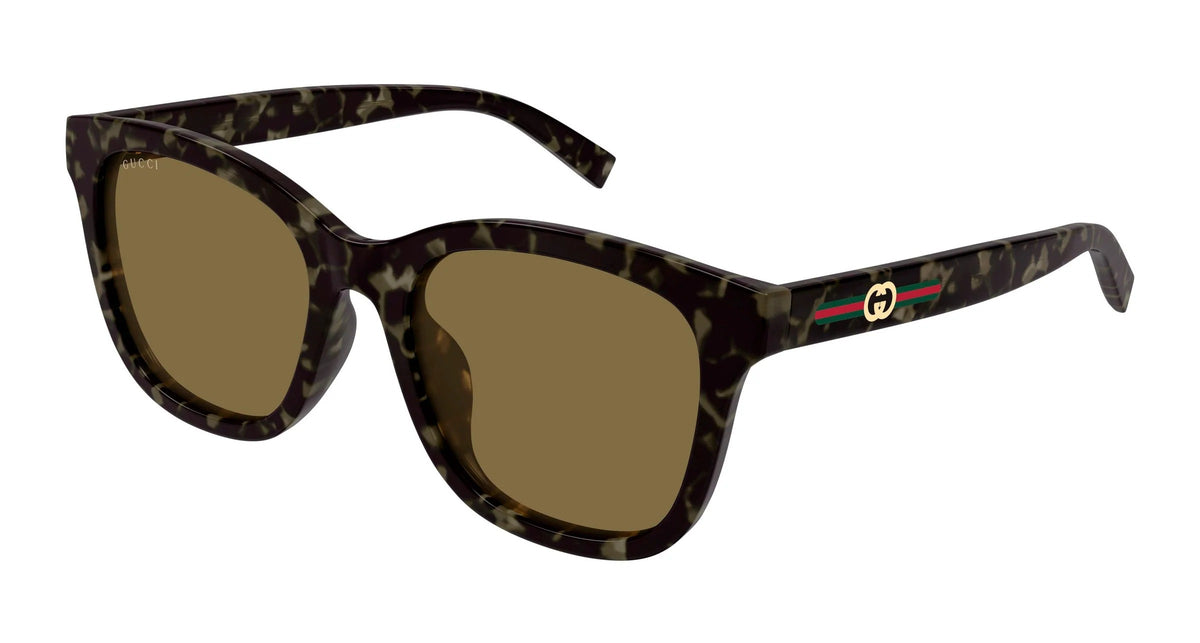 Gucci GG1984SK 003 Square Sunglasses 55mm Havana / Brown Solid Lens