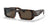 Prada Sunglasses PR06YS 2AU8C1 53mm Tortoise / Dark Brown Lens