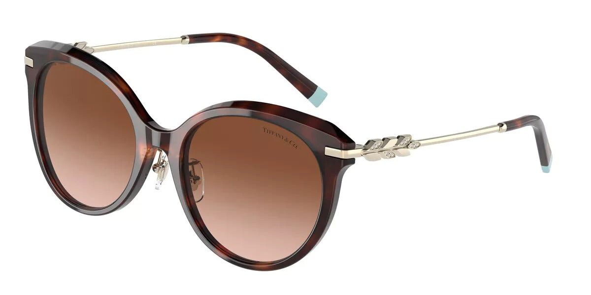 Tiffany & Co Sunglasses TF4189BF 80023B 55mm Havana / Brown Gradient Lens