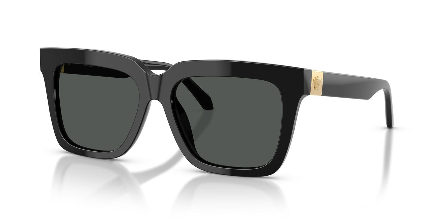 Versace Sunglasses VE4498 GB1/87 55mm Black / Dark Grey Lens