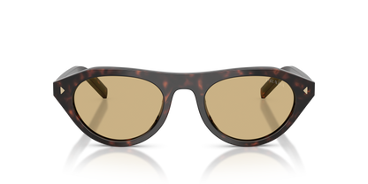 Prada PRB15S 17N70R Sunglasses 51mm Root Tortoise / Light Brown Solid Lens - image 2