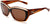 DSquared 2 Sunglasses DQ 0017 05E Black-Havana / Brown Lens