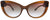 Versace Sunglasses VE4388 53240P 54mm Transparent Brown / Clear Gradient Orange Gradient Brown Lens