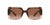 Versace Sunglasses VE4405 533213 55mm Transparent Brown Gradient / Brown Gradient Lens